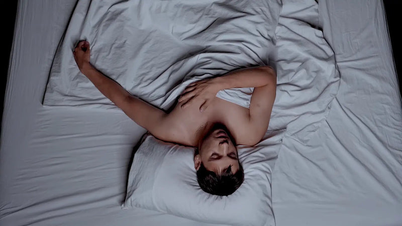 Sandor Dayala - Dromen / Slaapt - Patta